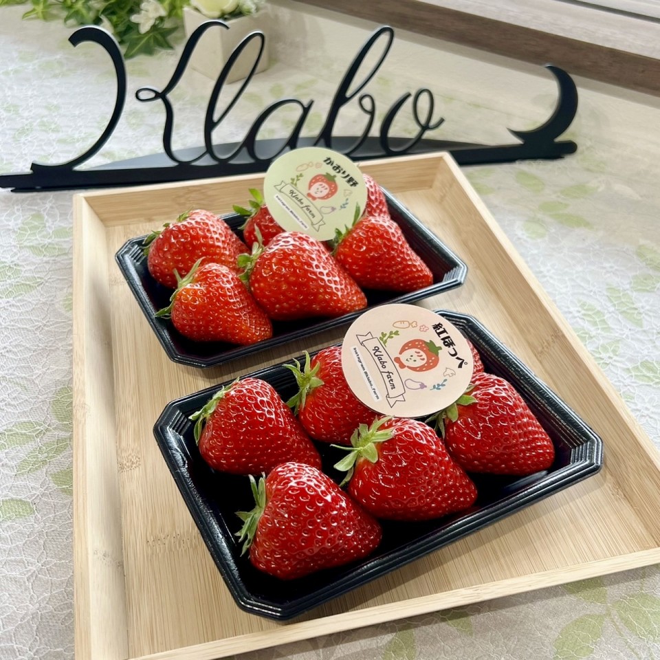いちごの販売が始まっています！