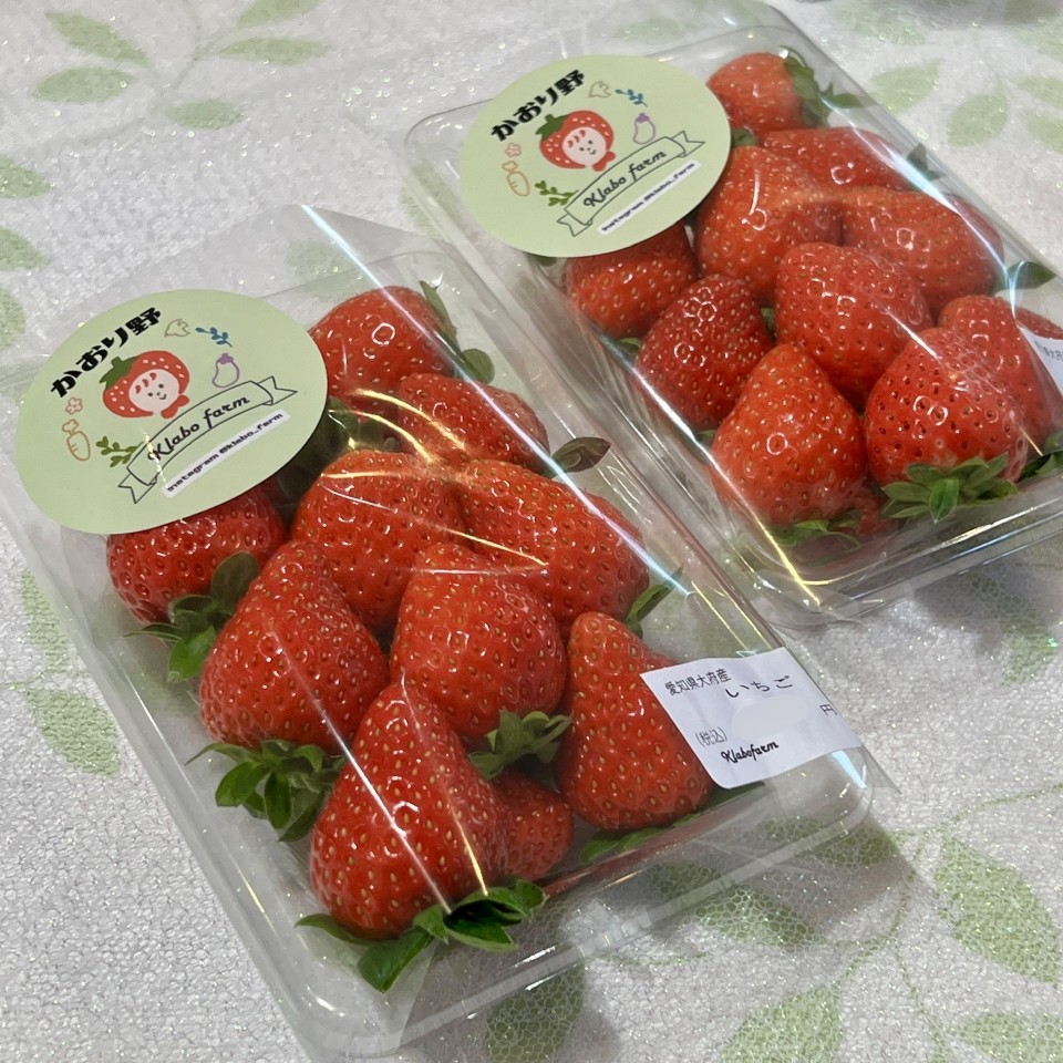 いちごの販売が始まっています!の写真