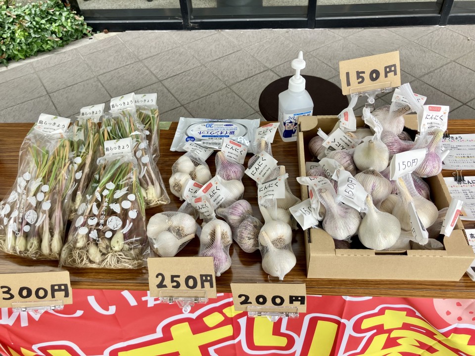 南生協病院「地球の子マルシェ」に出店しました!の写真