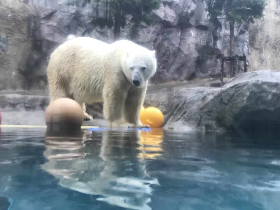 社員旅行で北海道へ行ってきました